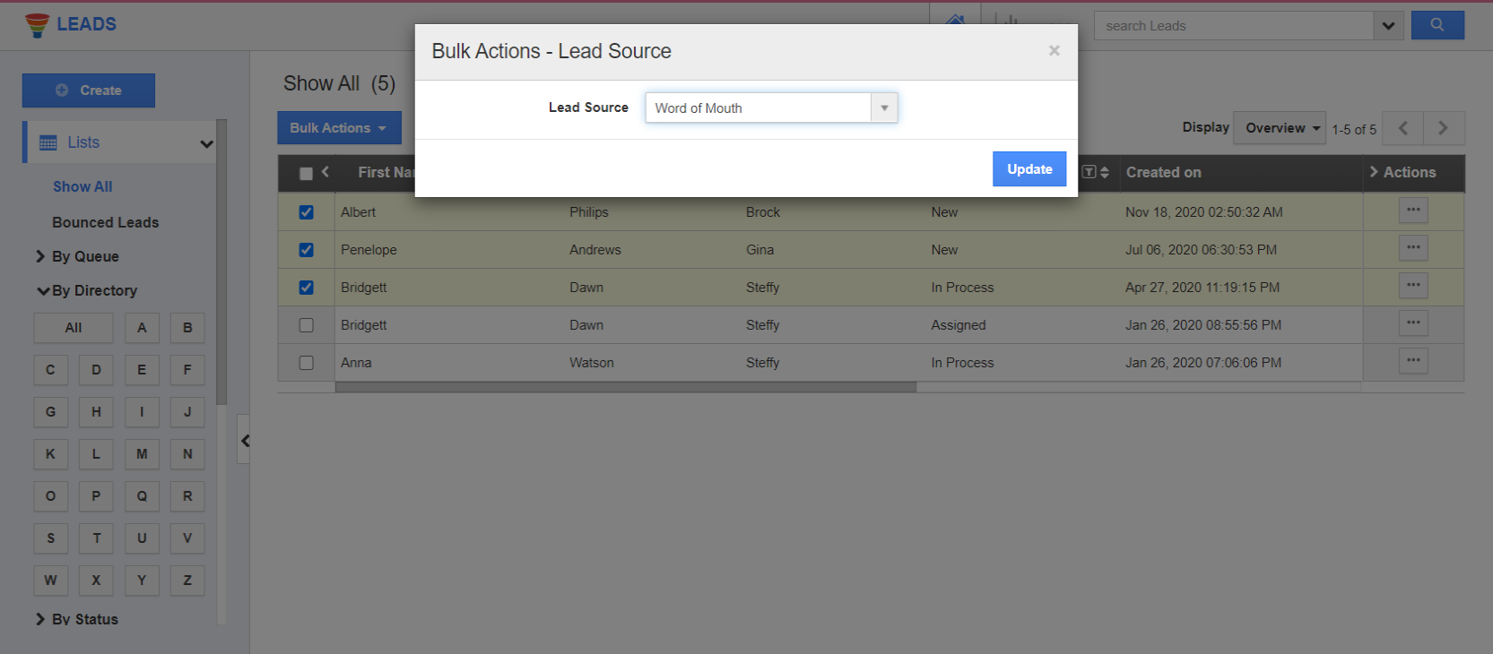 How do I bulk update the lead records?