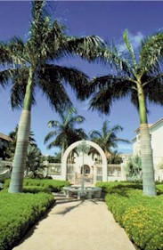 Caribbean Palm Village